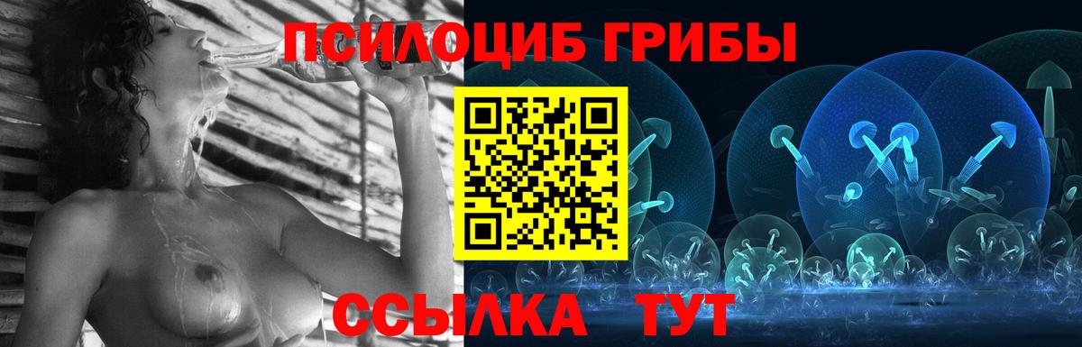 где купить наркоту  Вход с VPN  Кизилюрт  Псилоцибиновые грибы прущие грибы 