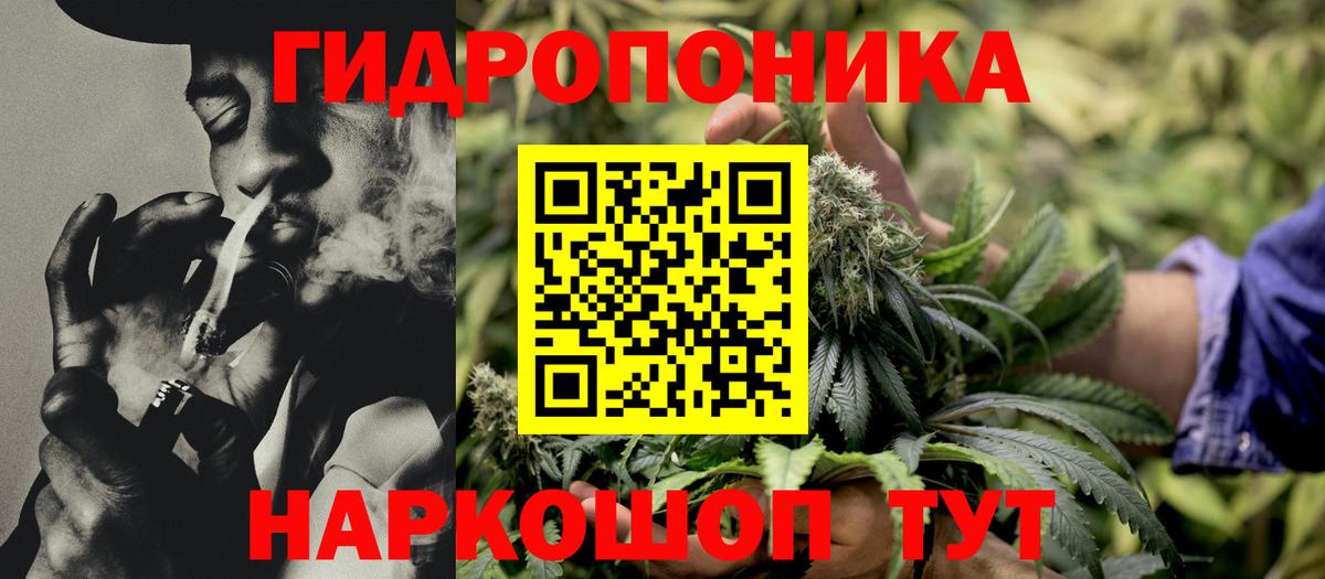 Канабис SATIVA & INDICA  МАРИХУАНА VHQ  Вход с VPN  Марихуана конопля  Канабис White Widow  Кизилюрт 